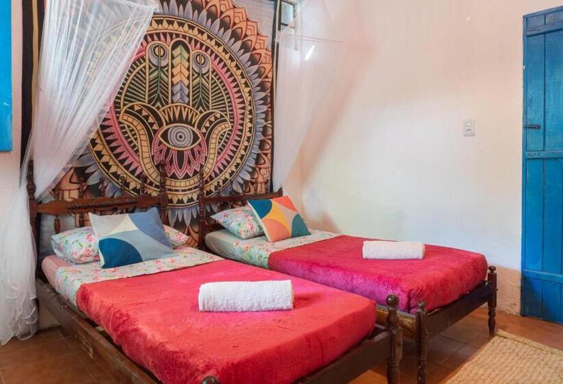 민박 Casamor Café E Hospedaria Praia De Algodões