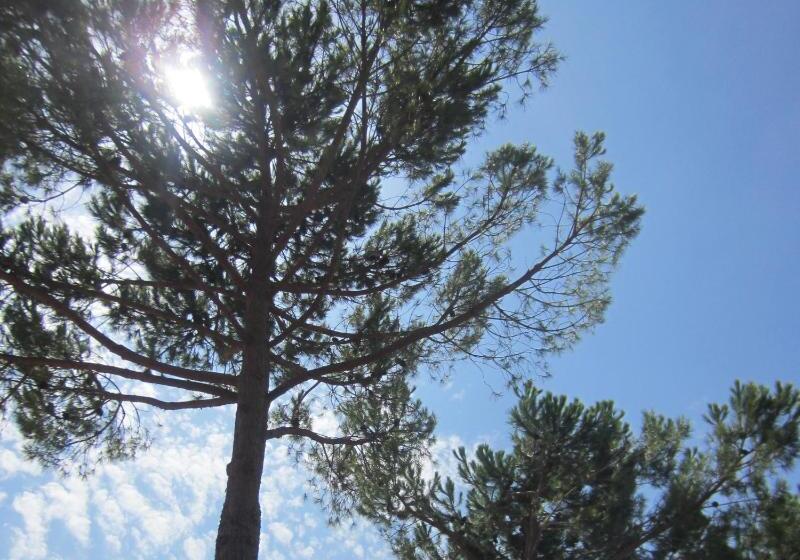 住宿加早餐  La Fille Du Berger