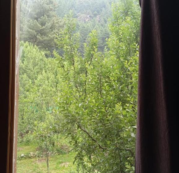 ホテル Canary Woods