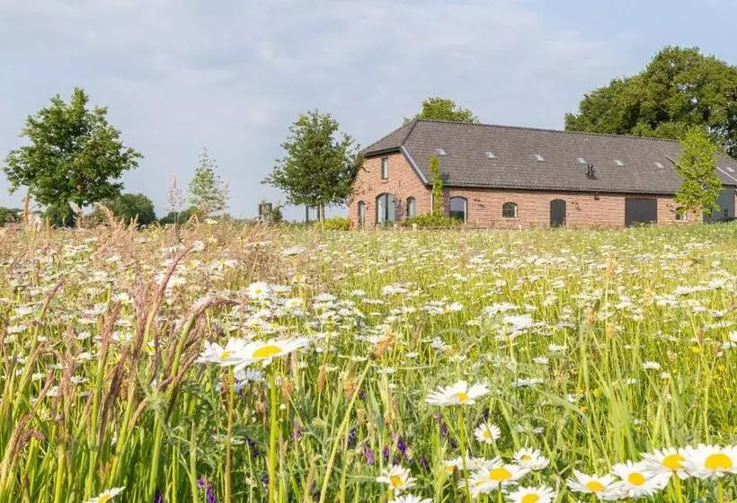 B&b Mijllerzicht