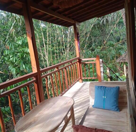 膳宿费 Umah Mimpi