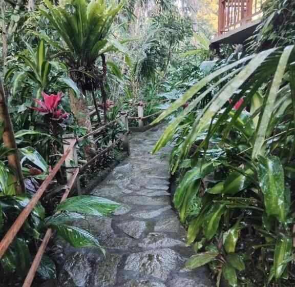 膳宿费 Umah Mimpi