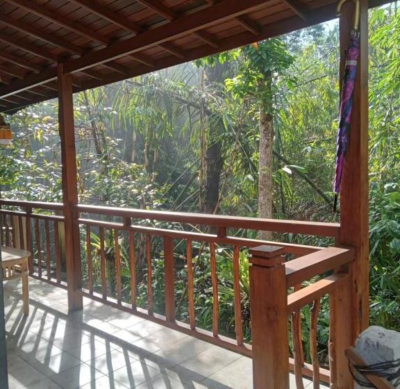 膳宿费 Umah Mimpi