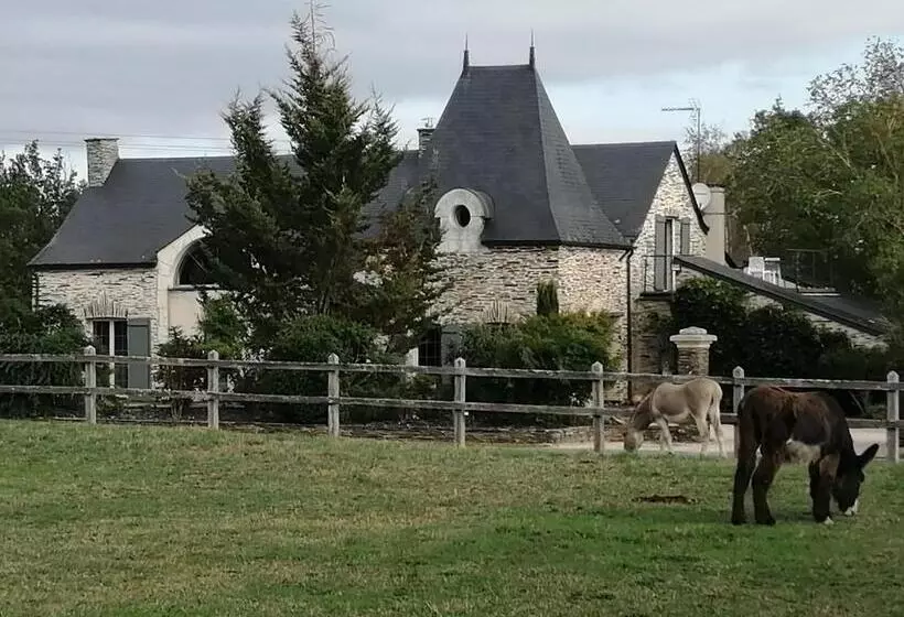 ペンション Gîte Belle Fontaine