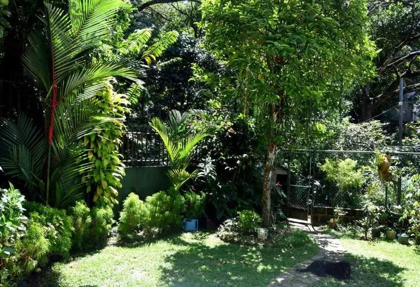 ペンション Cozy Homestay Kandy