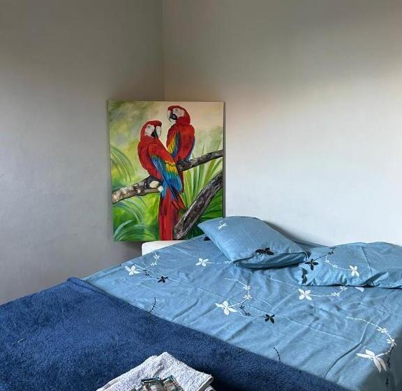 Pension House Dora Ap 2 C Ar Condicionado