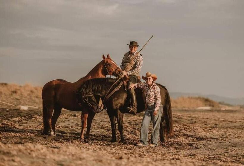 膳宿费 Red Cedar Ranch