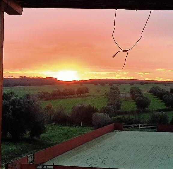 膳宿费 Red Cedar Ranch