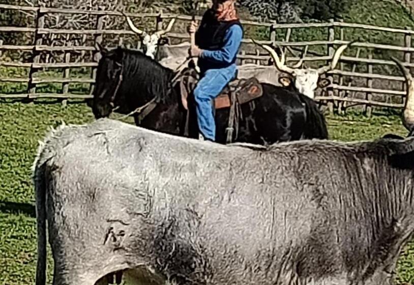 膳宿费 Red Cedar Ranch