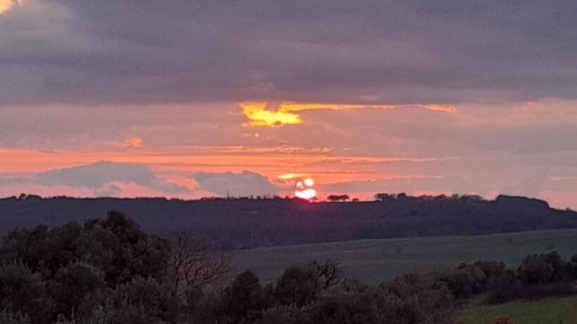 膳宿费 Red Cedar Ranch