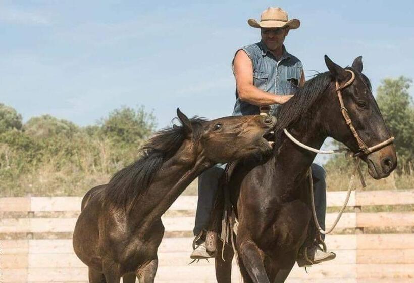 膳宿费 Red Cedar Ranch