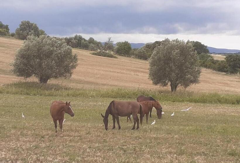 膳宿费 Red Cedar Ranch
