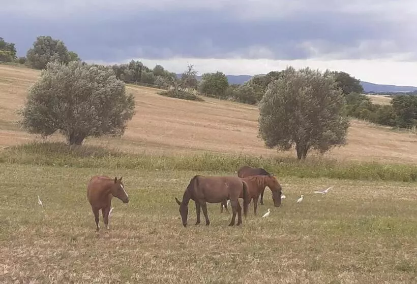 ペンション Red Cedar Ranch