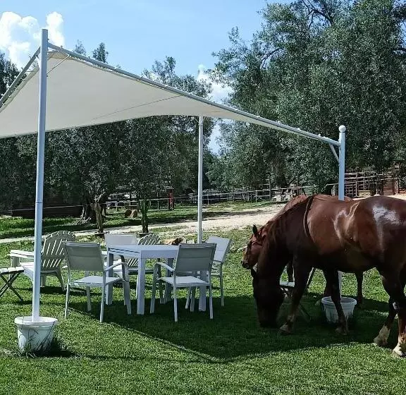ペンション Red Cedar Ranch