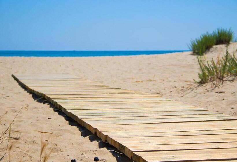 променад Maxxsea