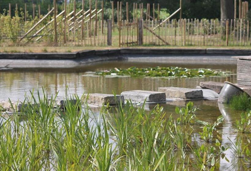 مبيت وإفطار Dielpenhof