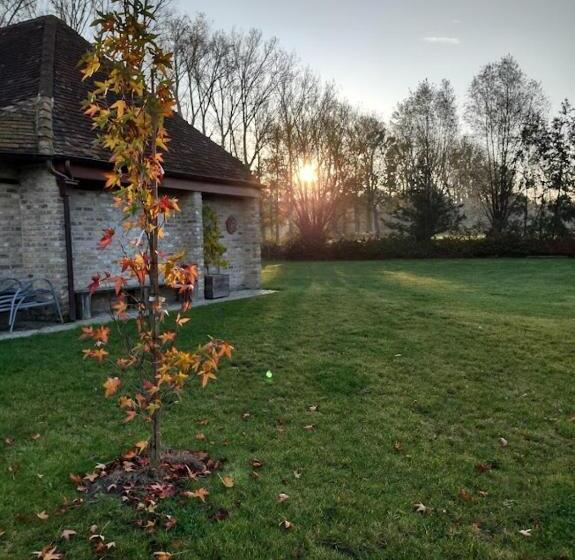 مبيت وإفطار Dielpenhof