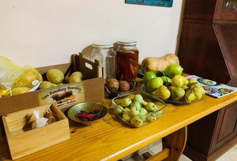 Bed & Breakfast Farm Vibes Guesthouse