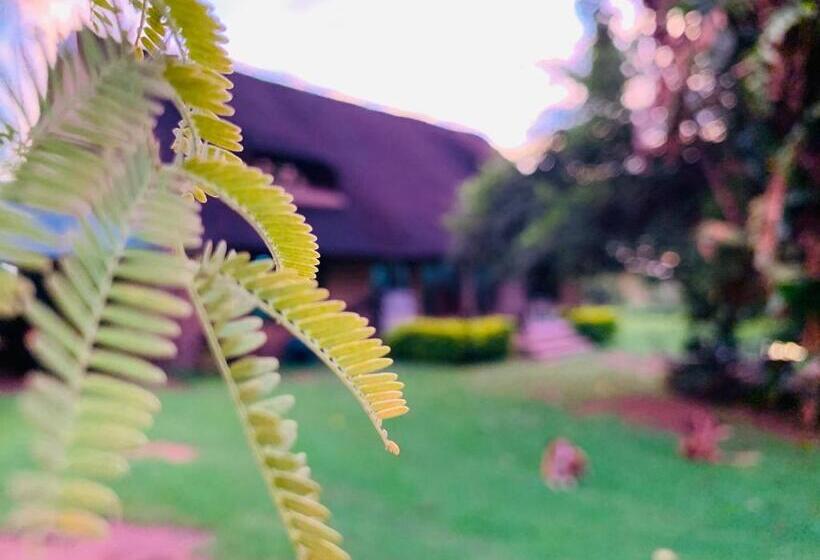 Bed & Breakfast Farm Vibes Guesthouse