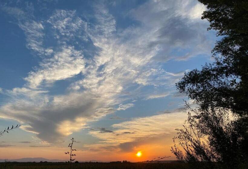 בית מלון כפרי Casona Del Molino De Maestrices