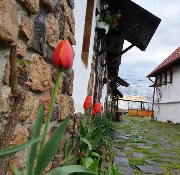 Hotelli Pensiunea San Pio Sabisa