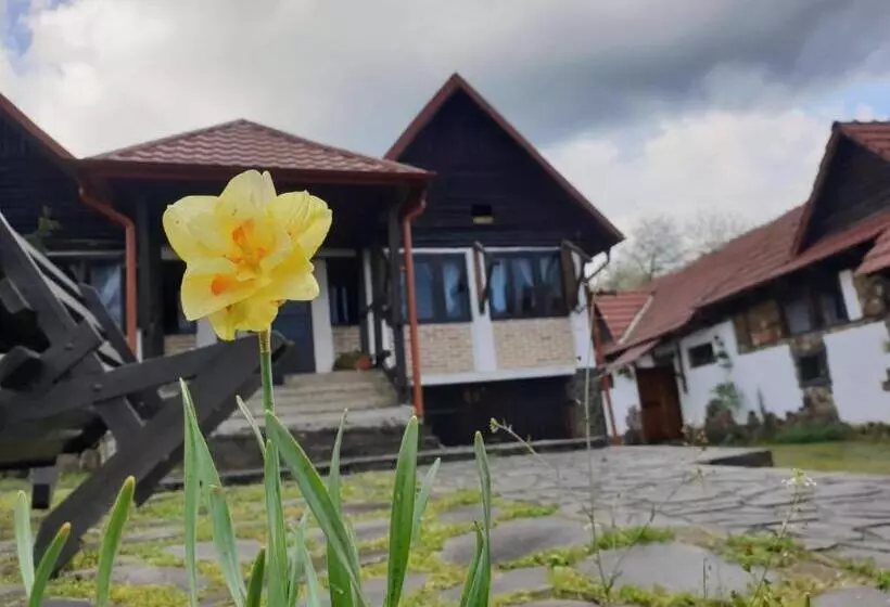 Hotelli Pensiunea San Pio Sabisa