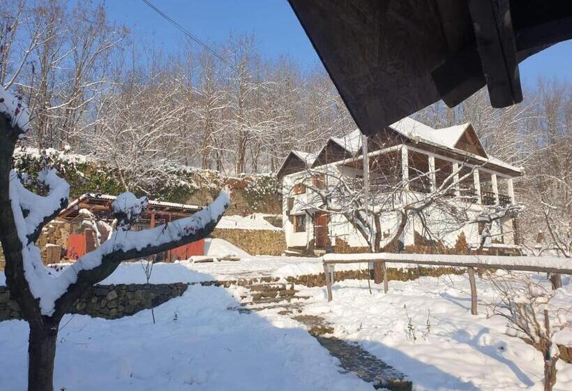 Hotel Pensiunea San Pio Sabisa