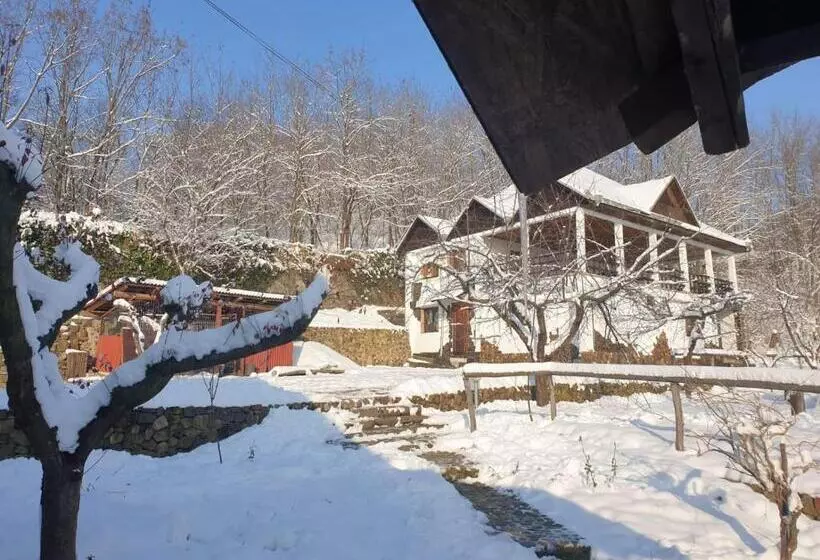 Hotelli Pensiunea San Pio Sabisa