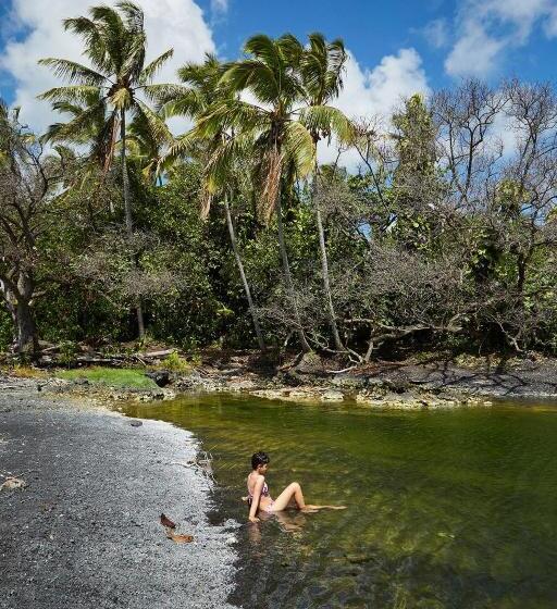 Open Gate Hostel Hawaii
