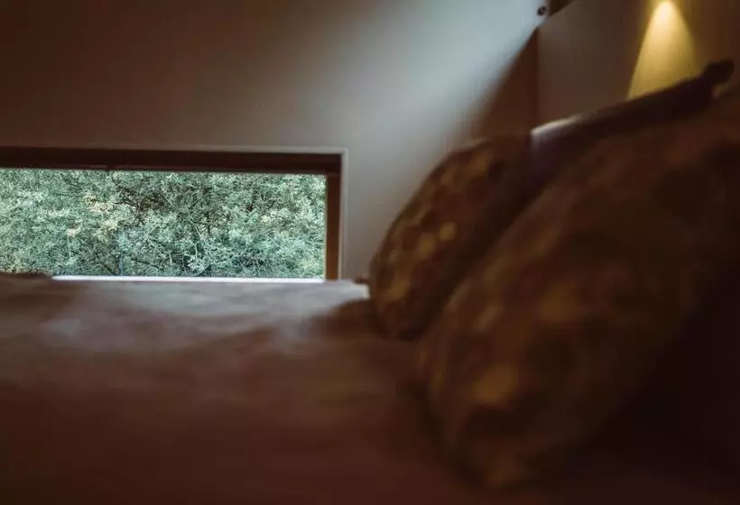 ベッドアンドブレックファースト La Cabane Du Pont De L Ignon Spa Hébergement Atypique Tout Confort En Bourgogne