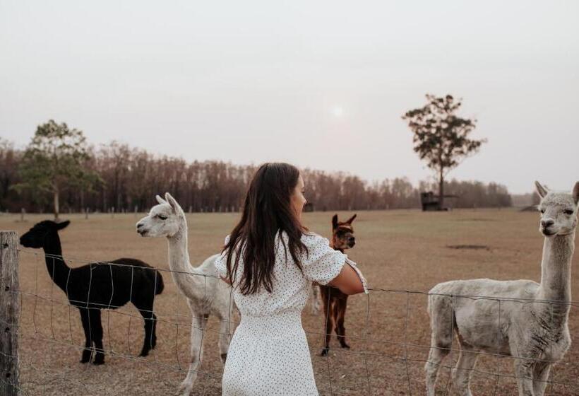 ベッドアンドブレックファースト Laurina Estate