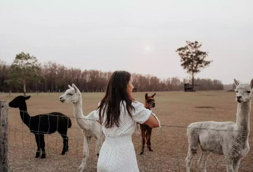 Aamiaismajoitus (B&B) Laurina Estate