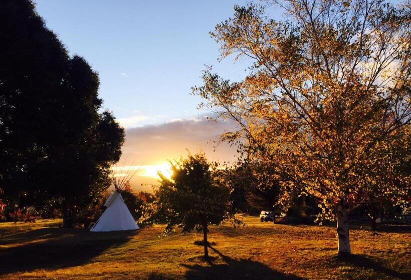 Nocleg ze śniadaniem Mountain Yurt, Stunning Views, Near Wanaka