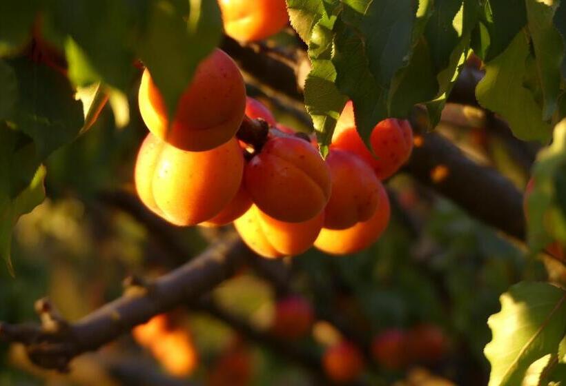 Nocleg ze śniadaniem Mountain Yurt, Stunning Views, Near Wanaka