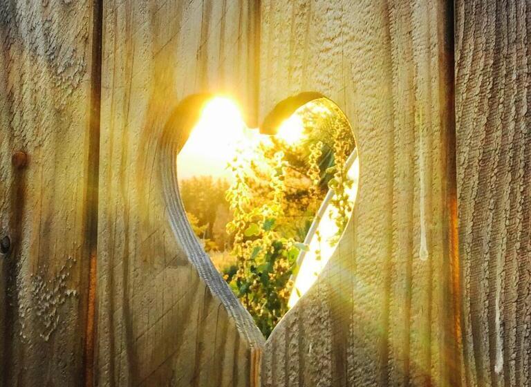 Nocleg ze śniadaniem Mountain Yurt, Stunning Views, Near Wanaka