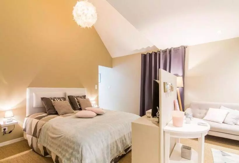 ベッドアンドブレックファースト Magnifique Suite Avec Jacuzzi Privatif