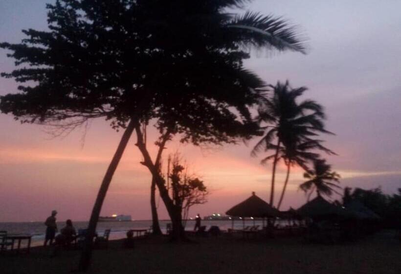 هتل Backpakers Robinson Plage