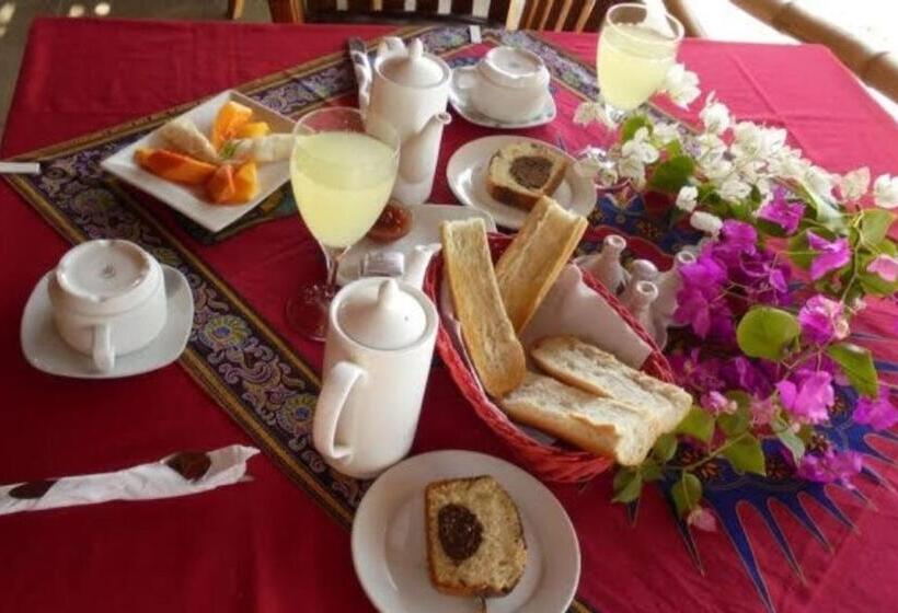 هتل Backpakers Robinson Plage