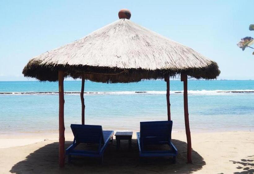 هتل Backpakers Robinson Plage