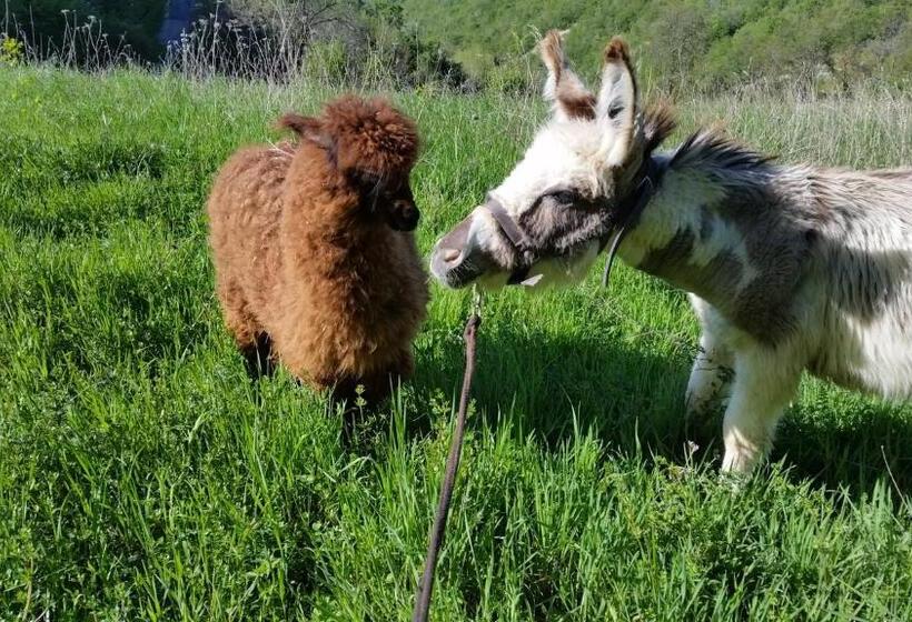 Hotel Ca Ciuchina Colazione Inclusa