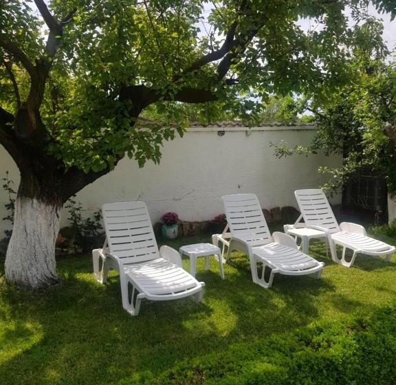 پانسیون вила борко