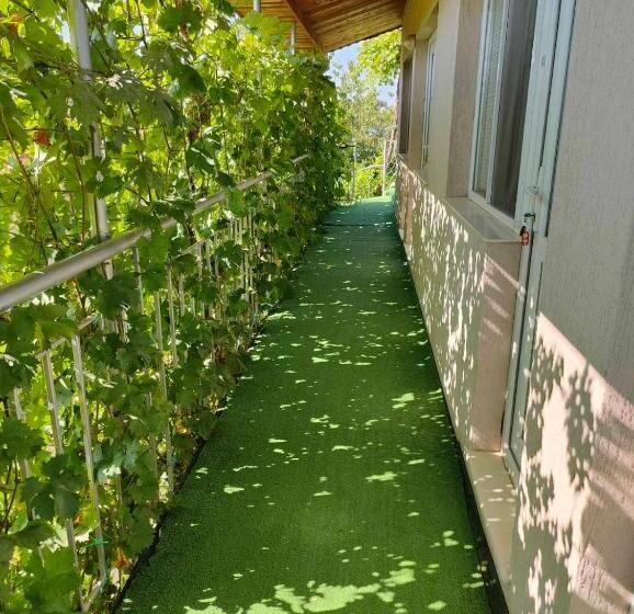 Pansiyon вила борко