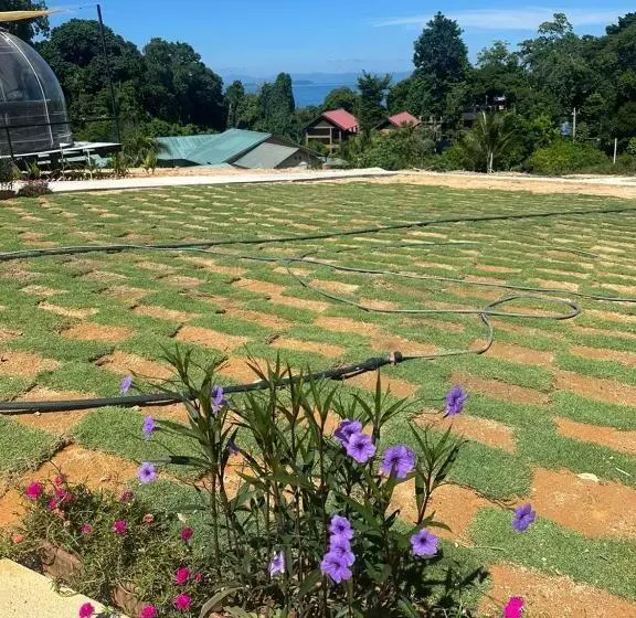 Majatalo Dnamie Glamping   Lux Tent