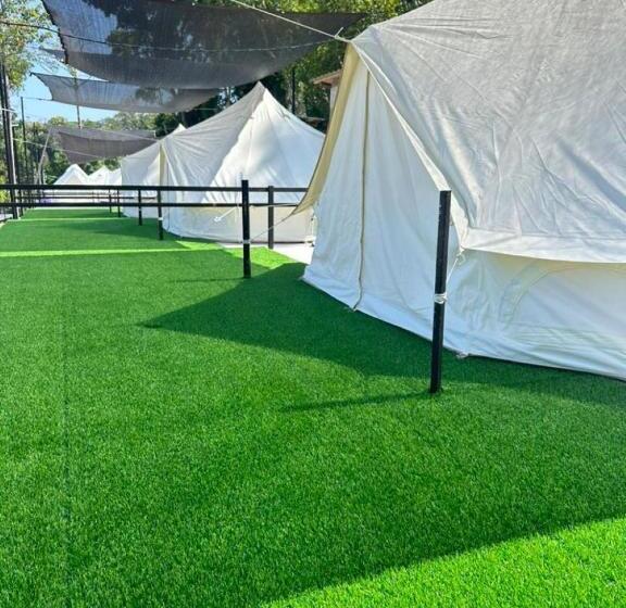 膳宿费 Dnamie Glamping   Lux Tent