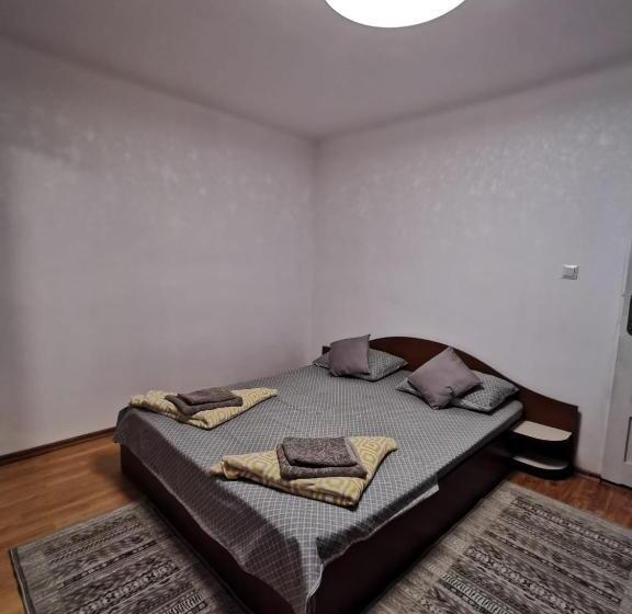 膳宿费 Summer Garden Baile Herculane