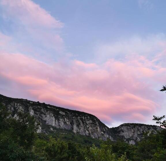 膳宿费 Summer Garden Baile Herculane