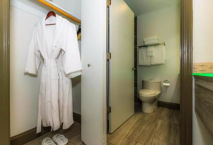 リゾートホテル Regalia Hotel & Conference Center