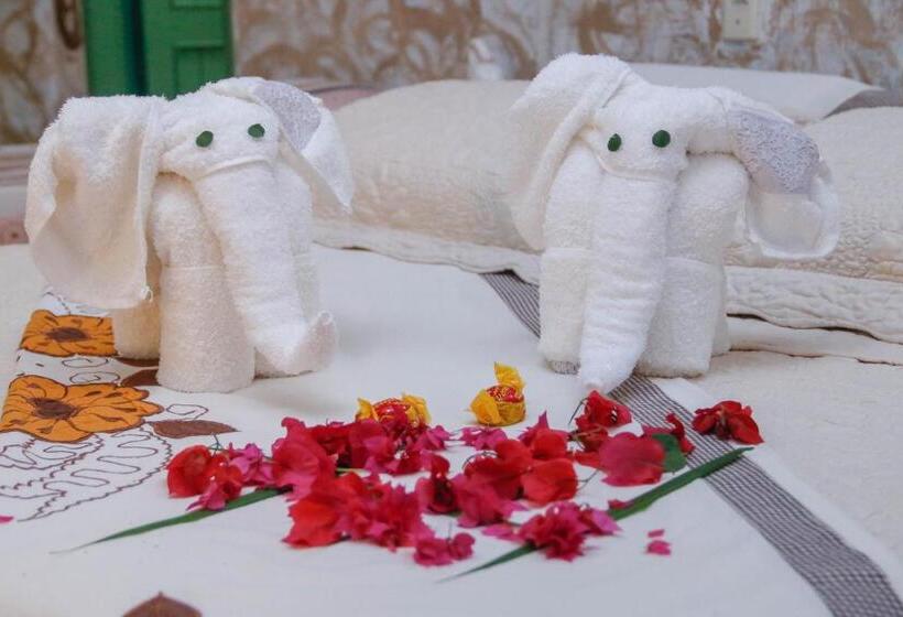 הוסטל Pousada Estrela Do Oriente