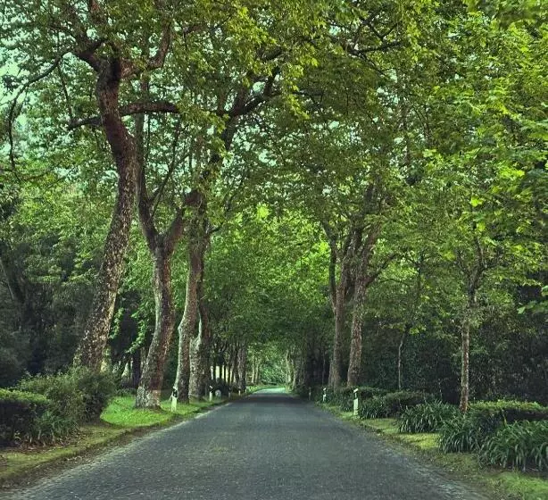 Azor International Hostel