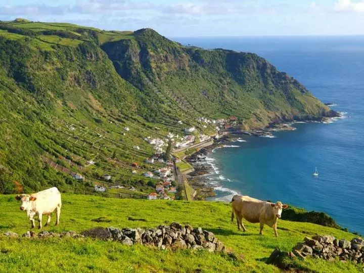 Azor International Hostel